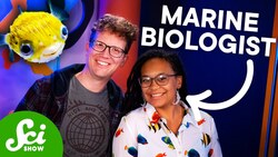 What is a Fish? Instructional Video