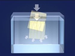 Forces in Fluids: Buoyancy and Density Instructional Video