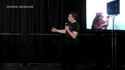 Musk's Neuralink Aims for Human Implant Approval in Six Months News Clip