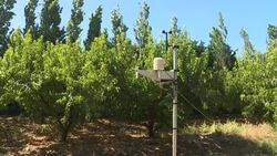 CLEAN : French farmers experiment with sustainable irrigation for fruit production News Clip