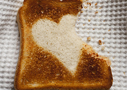 El increíble viaje de los alimentos Instructional Video