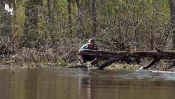 SNAPPED! It's a BAD BITE! Instructional Video