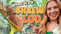 This plant eats POO! | The Carnivorous Shrew Loo | Maddie Moate Instructional Video