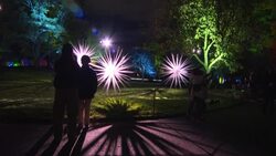 CLEAN : New York: holiday light show kicks off at Brooklyn Botanic Garden News Clip
