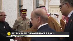 Pakistan-Saudi Arabia Declare Joint Response To Any Aggression | What It Means For India? News Clip