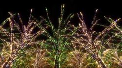 Neon Tree illumination Stock Footage
