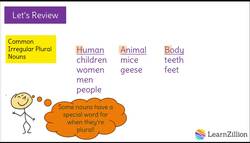Using Plural Nouns Correctly Instructional Video