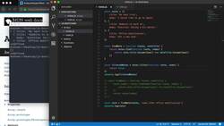 The Modern JavaScript Bootcamp (2019) - Filtering Arrays Instructional Video