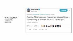 Another Wild Week for Tesla's Elon Musk News Clip