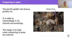 Planning a section on Portia spiders' appearance for a non-chronological report Instructional Video