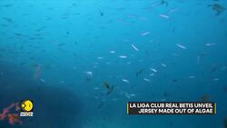 Real Betis unveils eco-friendly jersey made from invasive algae News Clip