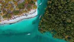 mangrove swamps at Mafia Island, Tanzania Stock Footage