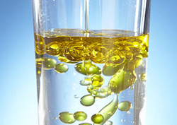 Hidrófobo Instructional Video