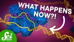 The First CRISPR Gene Therapy Is Here Instructional Video