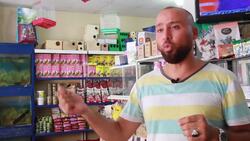 Illegal animal traders exploit security vacuum Instructional Video