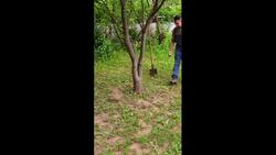 Backyard Magic: Turn Your Outdoor Space Into Something Amazing! Instructional Video