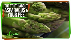 The Truth About Asparagus and Your Pee Instructional Video