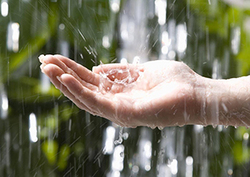 What is weather? Instructional Video