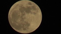 CLEAN : Dubai sees "Strawberry Moon" rising News Clip