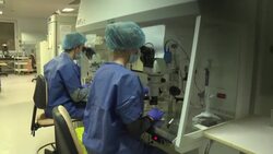 CLEAN : STOCKSHOTS: Images of assisted reproduction and families who have used it News Clip