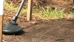 VOICED : Desminar Colombia la tarea de los exguerrilleros que sembraron explosivos News Clip