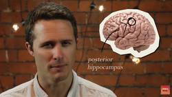 Could We Add To Our Senses? Instructional Video