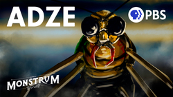 Adze: the Shapeshifting Firefly from West Africa Instructional Video