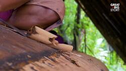 Kerala's traditional snake boat racing season     Instructional Video