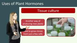 Exploring the Uses of Plant Hormones for Human Benefit Instructional Video