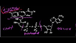 Succinate Dehydrogenase Instructional Video