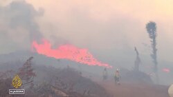 Chilean 17-year-old student innovates to fight hunger with award-winning hydrofood machine Instructional Video