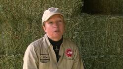 What It’s Like to Work With Rhinos at the San Diego Zoo Safari Park Instructional Video