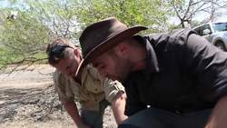 Crocodile Caught in Drainpipe! Instructional Video