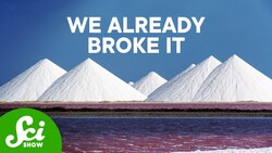 We Discovered a New Natural Cycle! Instructional Video