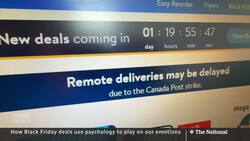 How Black Friday deals use psychology to play on our emotions News Clip