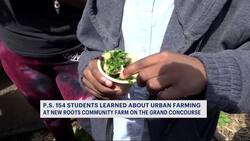 New York City students learn to bring food from farm to table News Clip