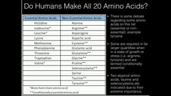 Overview of Amino Acid Biosynthesis Instructional Video