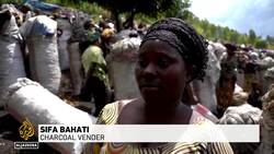 DR Congo's tropical forests under threat: Illegal logging in UNESCO World Heritage site News Clip