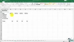 The Complete Excel Guide: Beginners to Advanced - Adding, Deleting, and Renaming Sheets Instructional Video