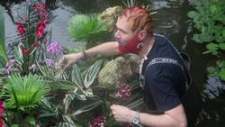 Finishing touches made ahead of Orchid Festival at Kew Gardens News Clip
