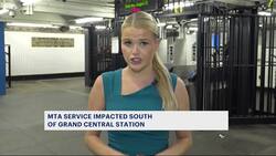 Weekend train suspension on 4,5, and 6 trains frustrate commuters News Clip