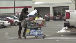 Hurricane strength winds cut path of destruction across N.L. News Clip