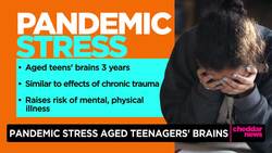 Study: Teens’ Brains Aged Faster During First Year of Covid News Clip