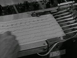 BRAIN EXPERIMENTS: Dr. Jose Delgado observing Macaques monkeys w/ brain implants in laboratory Instructional Video