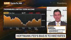 Thornburg's Hoffmann on Markets News Clip