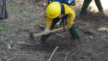 Yosemite's First Women's Fire Corps Crew