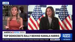 Kamala Harris raises $81M in 24 hours News Clip