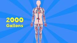 I WONDER - What Does The Heart Do? Instructional Video