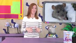 Tunnels in the Snow! Instructional Video