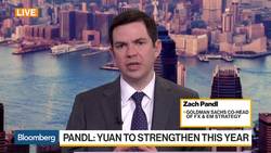 Goldman's Pandl Says 'Short' Dollar News Clip